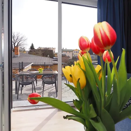 Brise Alter Anker App 18d *